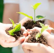 Example of concept paper about environmental conservation and action. Environmental Conservation And Action Home Facebook