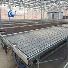 We did not find results for: Hydroponic Flood And Drain Tray Buy Abs Plastic Grow Tables Aquaponics Growing Systems Greenhouse Equipment Product On Alibaba Com