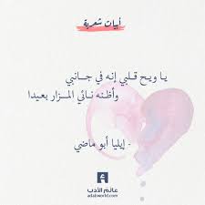 ابيات رائعة لعبد الغفار الاخرس عالم الأدب Words Quotes Words Quotes