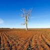 Many parts of the united states are once again in drought conditions and the dry winds of spring do not help the situation. 1