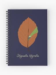 Image result for Stigmella tityrella