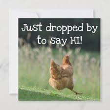 funny chicken hello quotes say hi cute farm animal card zazzle com hello quotes chicken humor say hi