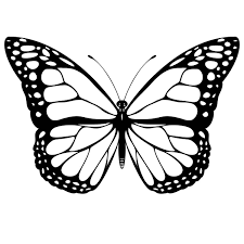 Black And White Stencil Butterfly Outline Stencil Design On Paper Flying Monarch Butterfly Tattoo Design Stencil 1200 X 1200 Download White Butterfly Tattoo Butterfly Tattoo Stencil Butterfly Clip Art