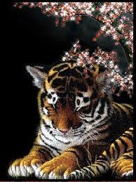Fantazy Tiger Gif Animaciya Na Telefon 1256435 Cat Posters Types Of Wild Cats Wild Cats