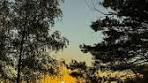 Center Parcs De Kempervennen: A Perfect Family Getaway - TikTok