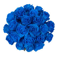 Shop for fresh flowers in food. Tinted Blue Roses 50 Cm Fresh Cut 50 Stems Walmart Com Walmart Com
