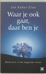 Jon Kabat Zinn Waar Je Ook Gaat Daar Ben Je Meditatie In Het Dagelijks Leven Boeken Meditatie Mindfulness
