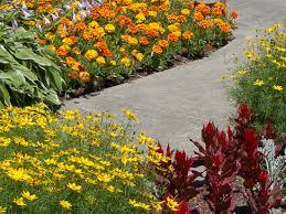 Front yard landscaping can be challenging when you have a small area to work on. How To Choose Edging Plants For Your Landscape
