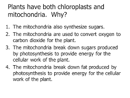 We did not find results for: Why Does A Plant Cell Need Chloroplasts And Mitochondria