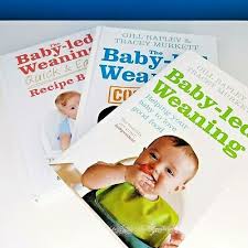 Do ensure that your baby is supported in. The Baby Led Weaning Cookbook 130 Recipes That Will Help Your Baby Softcover Eur 1 00 Picclick At