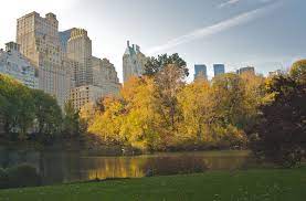 Check spelling or type a new query. Apartment Wikipedia
