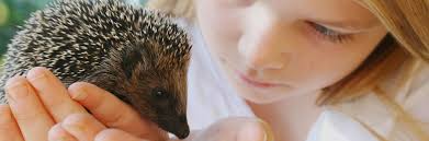 We are the only veterinary medical facility in the dmv area serving an exclusively avian and exotic clientele. Maryland Avian Exotics Veterinary Care