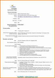 De asemenea acest cv este disponibil in numeroase limbi straine si permit inclusiv crearea cv ului online in limba romana. Model Cv Europass Completat Romana Download Free