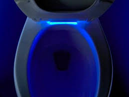 Kohler Nightlight Toilet Seat Pro Remodeler