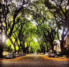 The subway (subte) line d follows its route. 3 Motivos Para Conocer Belgrano R Loving Buenos Aires