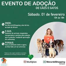 En febrero de 2015 fundó el instituto luísa mell, que trabaja principalmente en el rescate de animales heridos o en riesgo, la recuperación y la adopción. Instituto Luisa Mell Photos Facebook