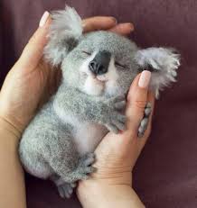 32 Of The Cutest Little Babies That Will Make You Say Awww Cute Baby Animals Cute Animal Pictures Baby Animals Super Cute