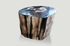 Petrified Wood Furniture High Quality Petrified Wood Collection Andrianna Shamaris Petrified Wood Wood Side Table