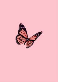 Pin By Sydney Nicole On Collage Wall In 2020 Wall Collage Photo Wall Collage