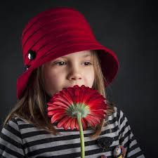 Imágenes de Red daisy flower libres de derechos