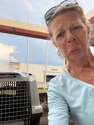 Reliable Fostering for Dog Rescue in Anguilla