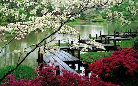Japanese Garden Washington Park Wallpaper Hd Background Japanese Garden Washington Park Japanese Garden Missouri Botanical Garden Japanese Garden Design