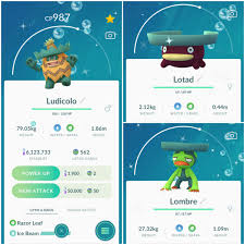 It is vulnerable to flying, poison and bug moves. Cah Iskandar Tl40 On Twitter Complete Shiny Lotad Lombre Ludicolo Pokemongo Shinylotad Shinylombre Shinyludicolo