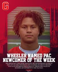 Grove City College Athletics