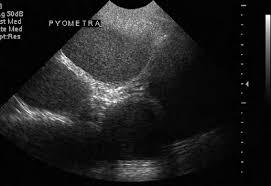 Maybe you would like to learn more about one of these? 2