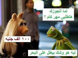 هههههههههههه funny pictures funny comics arabic funny