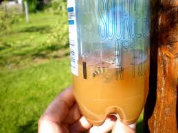 2 bouteilles plastique identiques, de section circulaire, avec des rainures horizontales 2 planchettes de type « abaisse langue » (du médecin) de 25 mm de large et de 2 mm d'épaisseur 1 rond de 1 cutter 1 paire de ciseaux 1 pique à brochette métallique. Lutte Contre Les Guepes Et Frelons Frelon Guepe Piege A Guepe