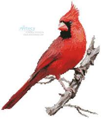 Free Cross Stitch Pattern Cardinal Bird Cardinal Cross Stitch Pattern Cross Stitch Patterns Christmas Cross Stitch Cross Stitch Patterns Free