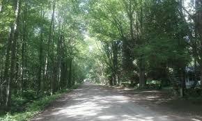 We planned to stay for a few nights at sleepy hallow sate park just north of lansing on the way. Dirt Rd Going To Eagle Bay Port Austin Mi Huron County Port Austin Countryside