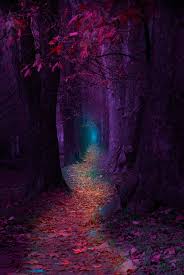 189 purple wallpaper for phones. Purple Forest Wallpapers Top Free Purple Forest Backgrounds Wallpaperaccess