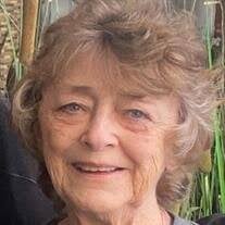 Janice Ann Hendricks Obituary