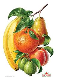Illyustracii Dlya Linejki Sokov Rottaler By Inorama Illustrators Via Behance Fruit Illustration Fruit Painting Fruit Picture