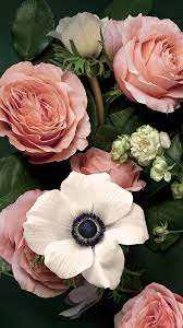Pretty Pink Flowers Beautiful Flowers Flowers Photography Flower Aesthetic