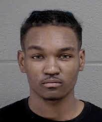 Alan Briggs Felony Larceny