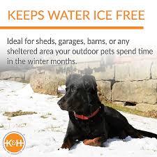 Maybe you would like to learn more about one of these? K H Pet Products Thermal Outdoor Dog Bowl Dog Food Water Bowls Petsmart
