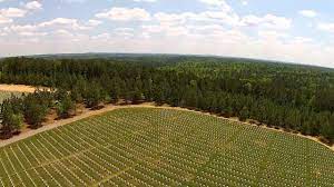 #17 of 161 restaurants in canton. Georgia National Cemetery As Seen From The Air Youtube
