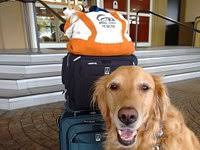 LIGHTHOUSE BAR & GRILL, Bellingham