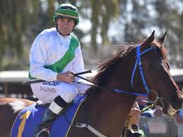 Jockey injured in track work accident