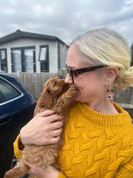 Willow had her second bath and tidy groom today! Star and whisky's litter  24/11/2023