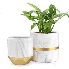 Amazon Com Homenote White Ceramic Flower Pot Garden Planters 6 4 8 Inch Pack 2 Indoor Plant Containers With M Ceramic Flower Pots Gold Flower Pot Flower Pots