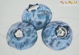 Maybe you would like to learn more about one of these? Blueberries Tutorial Coloured Pencils Step By Step Art Tutorials Articles Art Workshops