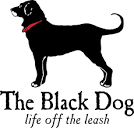 The Black Dog | This Is Mystic, CT