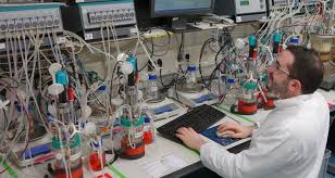 Cell metabolic status was evaluated by quantification of several metabolites in the culture medium; Animal Cell Biotechnology Wur