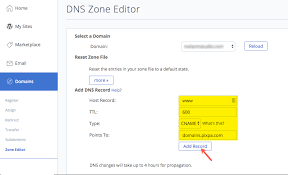 Connect Domain From Bluehost Pixpa Help