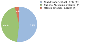 Image result for Tridactyle scottellii