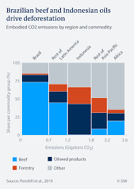 Between 1990 and 2010, malaysia lost 8.6% of its forest cover, or around 1,920,000 hectares (4,700,000 acres). Mass Deforestation How Trade Fells Trees In Brazil And Indonesia Environment All Topics From Climate Change To Conservation Dw 17 04 2019